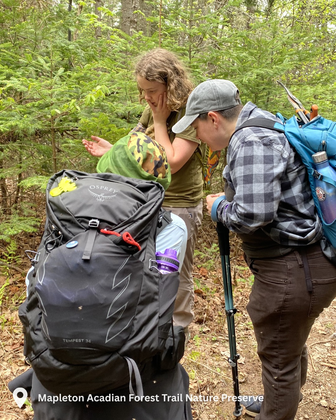 Medical support program